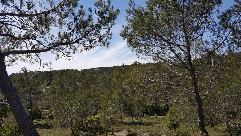 D'hotes Des Huppes Nimes